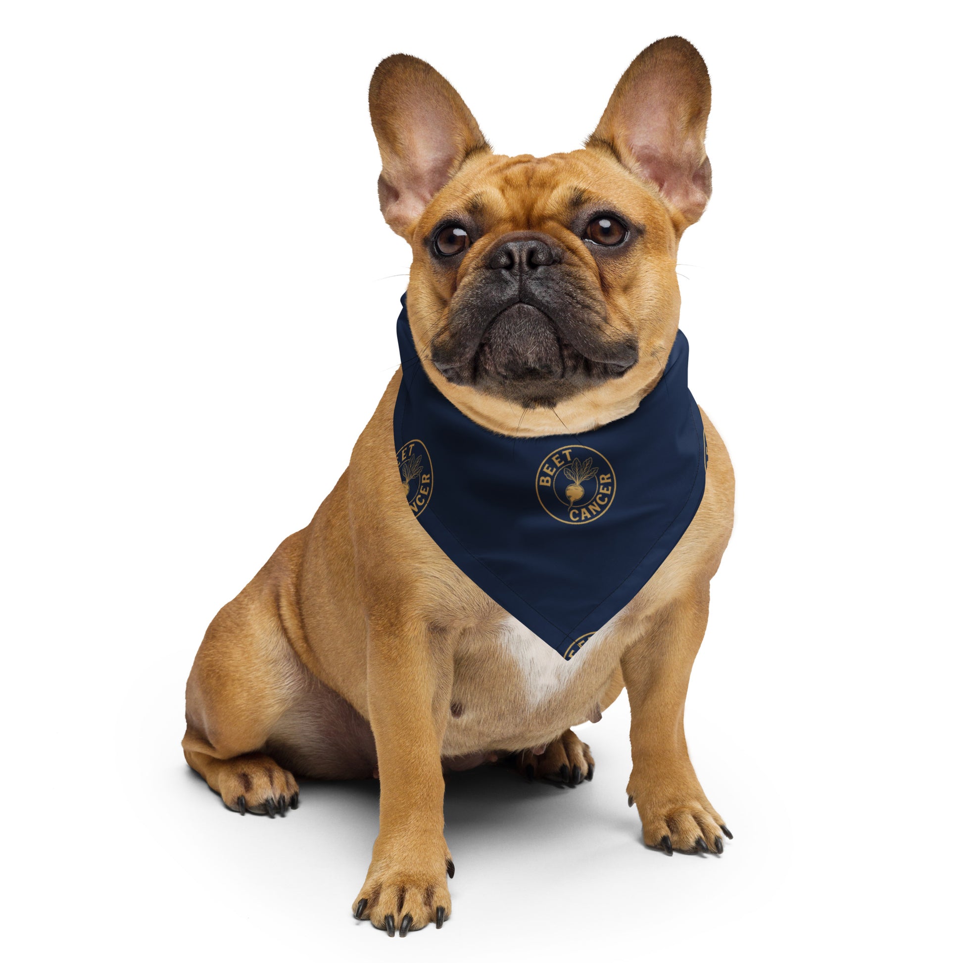 Beet Cancer Collective Navy Bandana